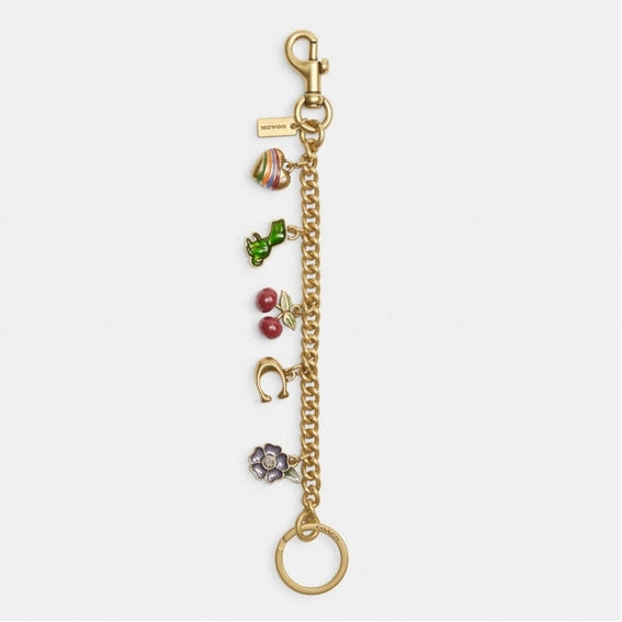 Coach Motif Chain Bag Charm