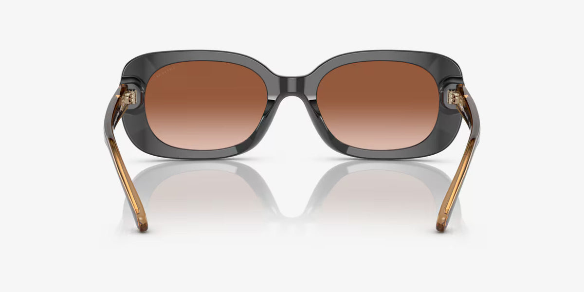 COACH sunglasses brown gradient