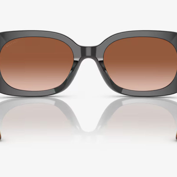 COACH sunglasses brown gradient