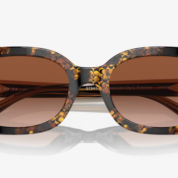 COACH sunglasses brown gradient