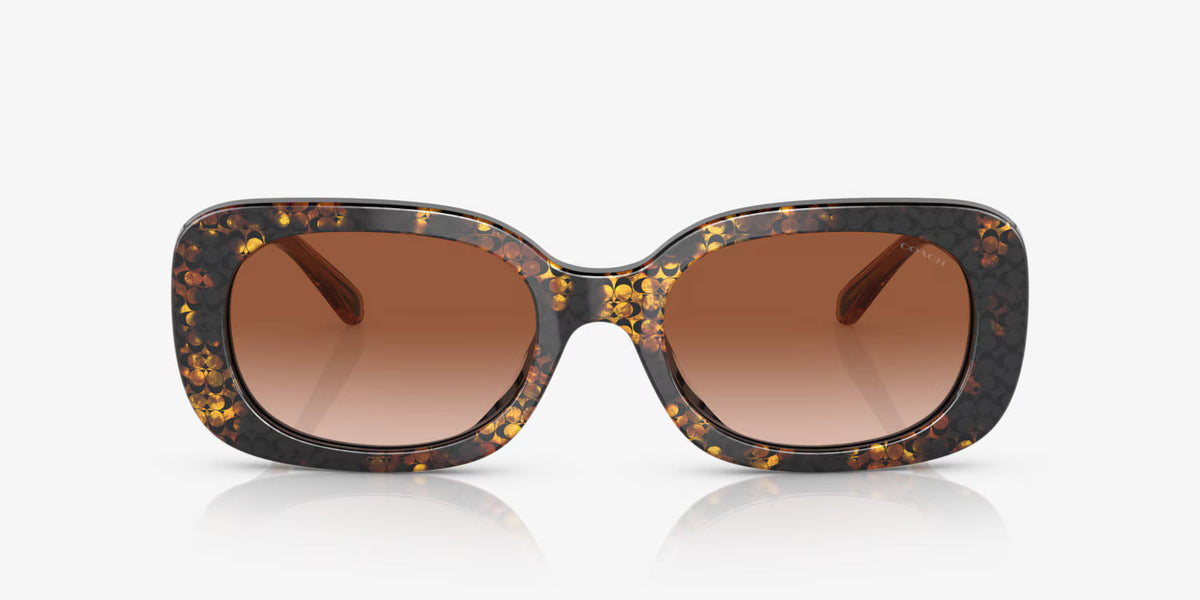 COACH sunglasses brown gradient