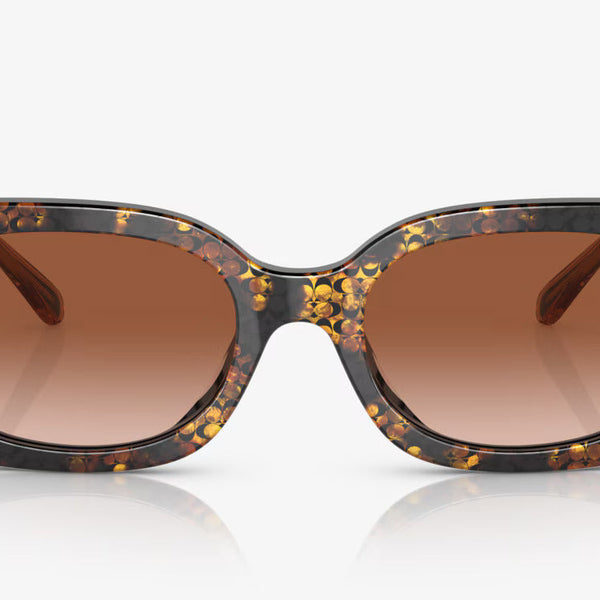COACH sunglasses brown gradient