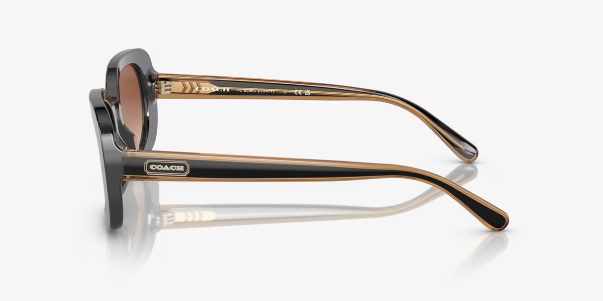 COACH sunglasses brown gradient