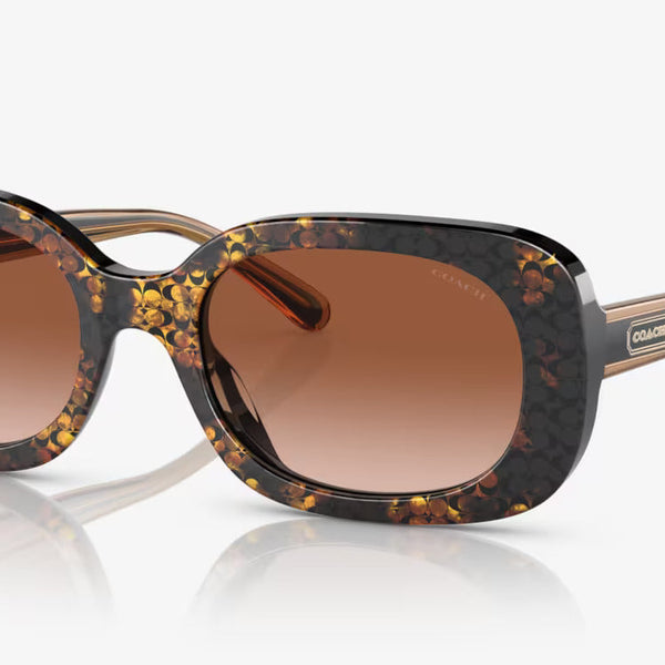 COACH sunglasses brown gradient