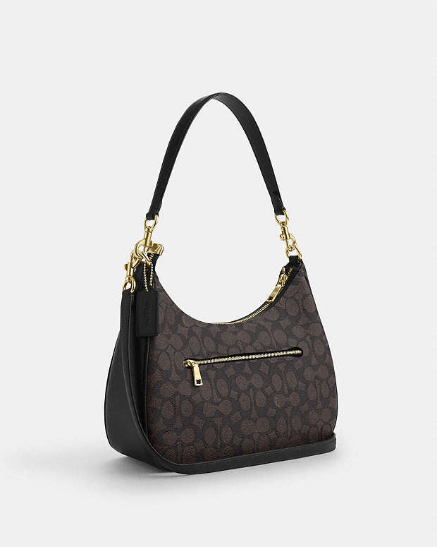 Coach Teri Hobo Bag In Signature Canvas