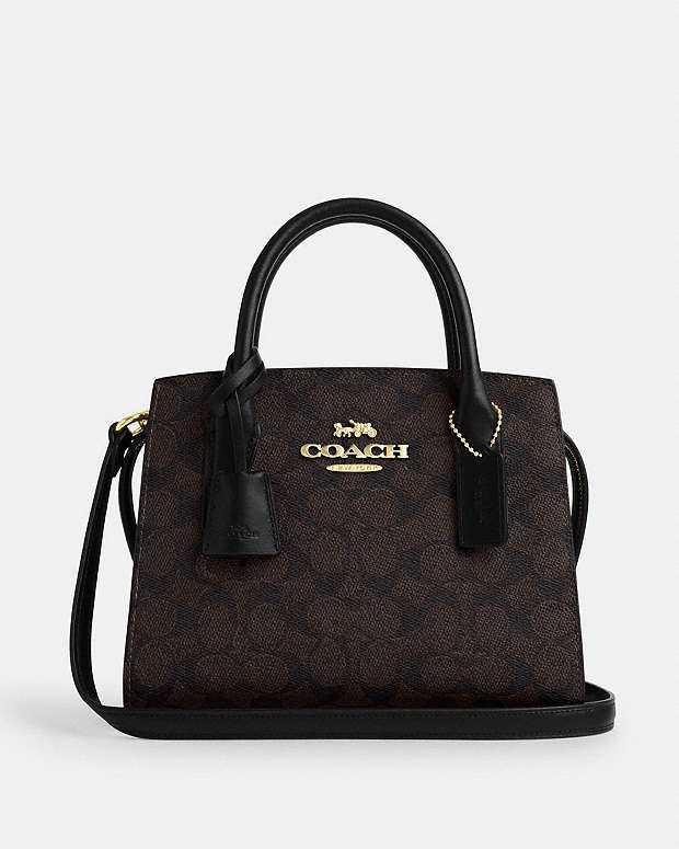 Coach Andrea Carryall Bag In Signature Canvas